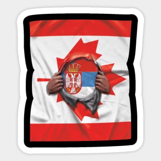 Serbia Flag Canadian Flag Ripped - Gift for Serbian From Serbia Sticker